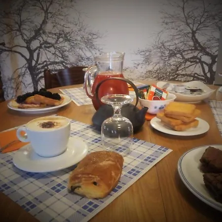 Bed & Breakfast L'elefantino - Bed And Book