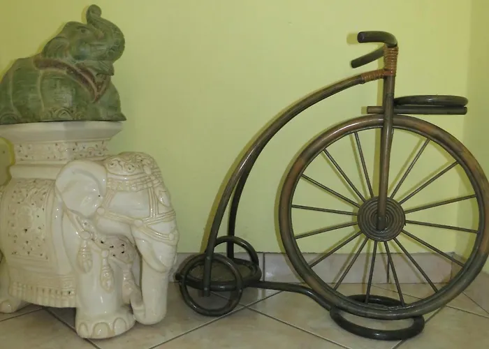 Alojamento de Acomodação e Pequeno-almoço L'elefantino - Bed And Book 3*